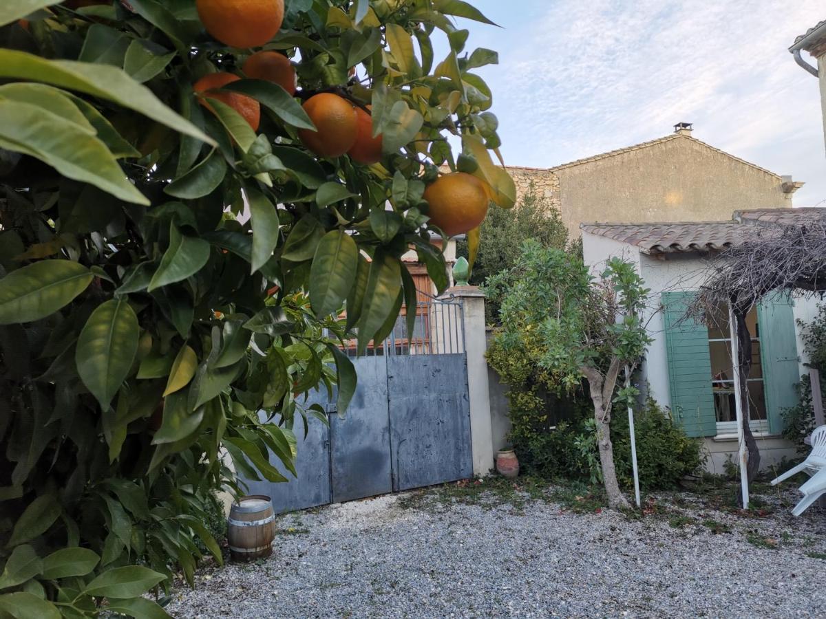 Vila La Taniere 16 Couchages Vergèze Exteriér fotografie