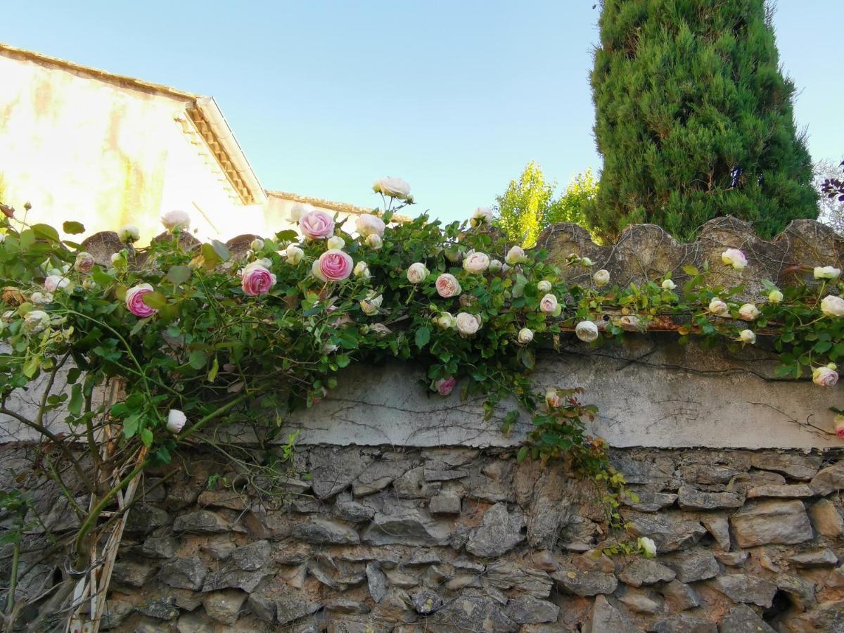 Vila La Taniere 16 Couchages Vergèze Exteriér fotografie