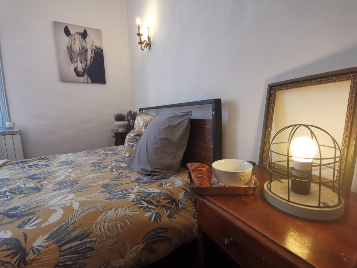 Vila La Taniere 16 Couchages Vergèze Exteriér fotografie