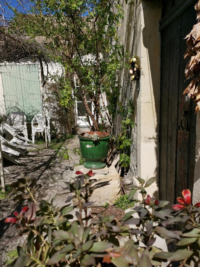 Vila La Taniere 16 Couchages Vergèze Exteriér fotografie