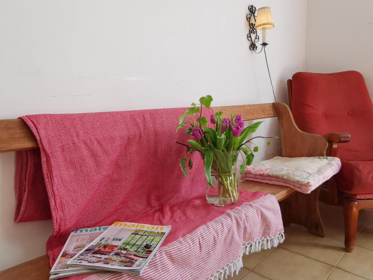 Vila La Taniere 16 Couchages Vergèze Exteriér fotografie