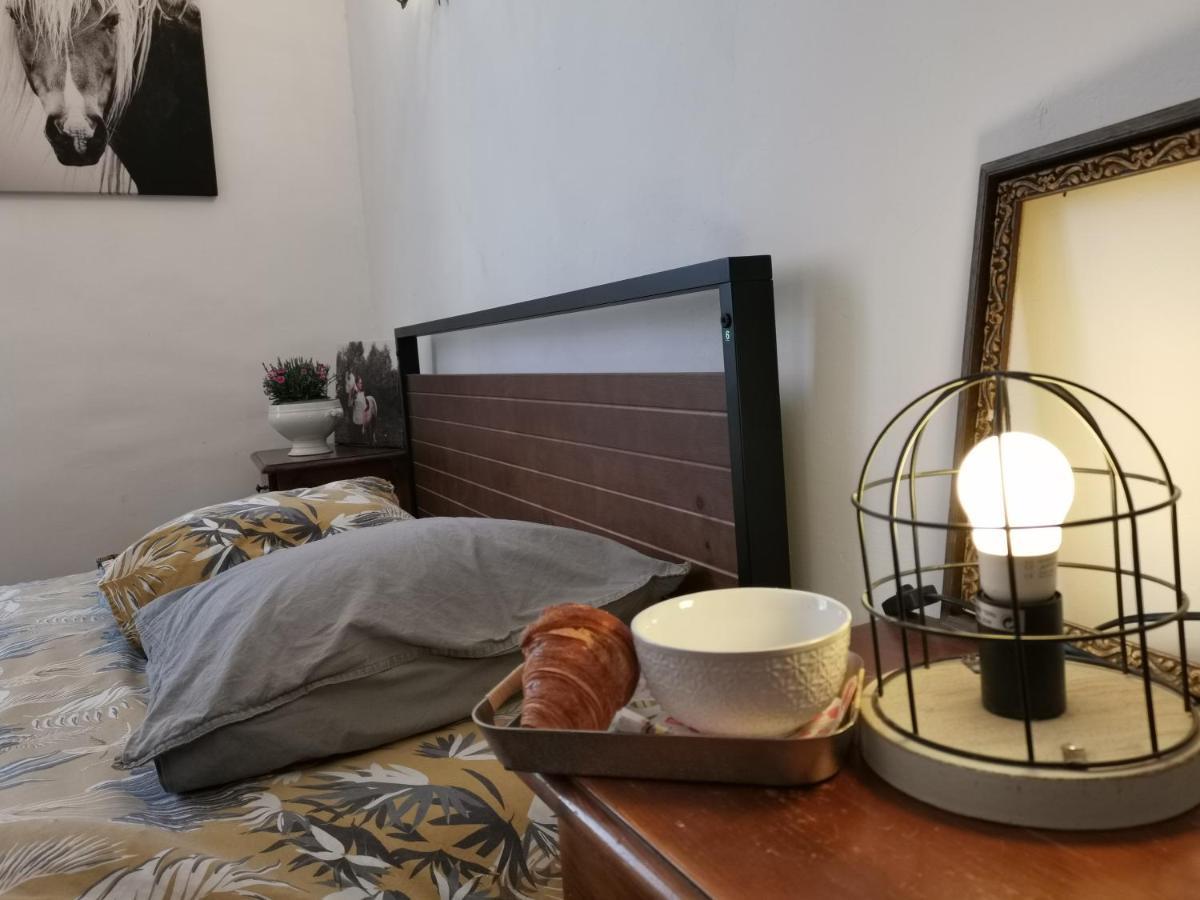 Vila La Taniere 16 Couchages Vergèze Exteriér fotografie