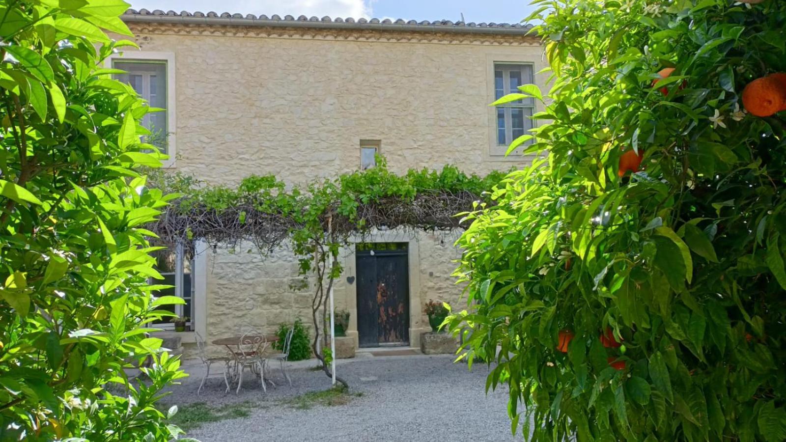 Vila La Taniere 16 Couchages Vergèze Exteriér fotografie